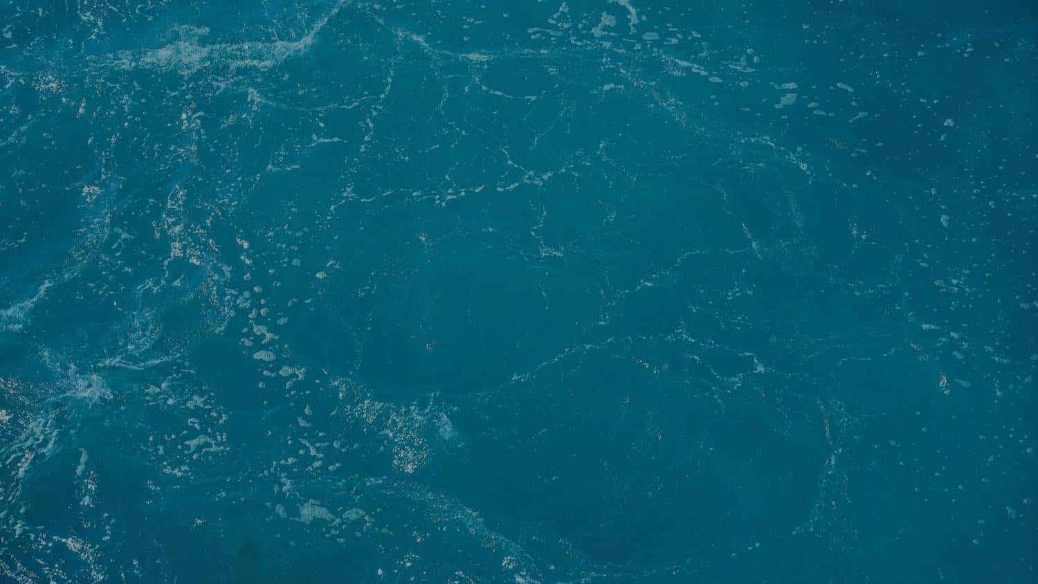 apa in ocean