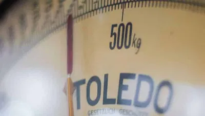 scale showing weight